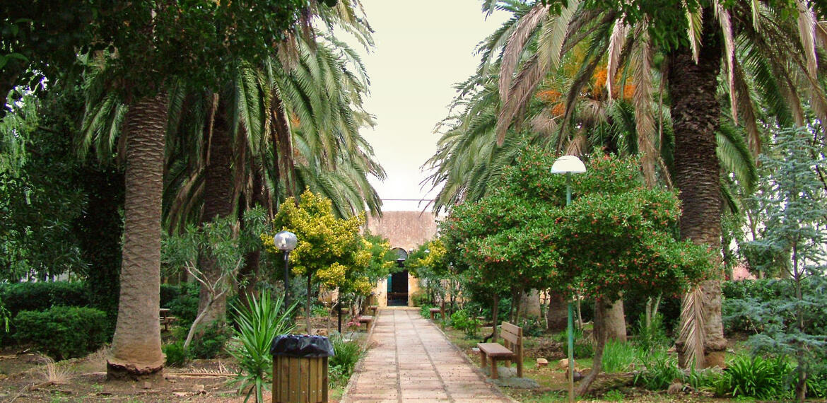 Immagine: Foto Macroaree 02 - Novità