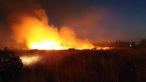 Immagine: foto_incendio281